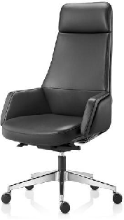 RUNZHI 2369A Leather Chair & PU 