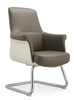 RUNZHI 2381D Leather Chair & PU 