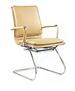 RUNZHI 2565D Leather Chair & PU