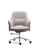 RUNZHI Luxury Style 2322C Leather Chair & PU 