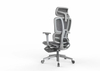 RUNZHI 908A Ergonomics Chair & Footrest