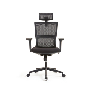 RUNZHI 779A Ergonomics Chair