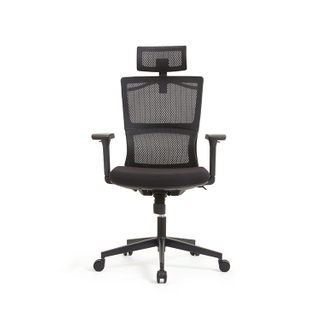 RUNZHI 779A Ergonomics Chair