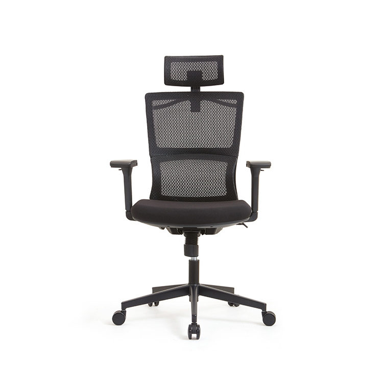 RUNZHI 779A Ergonomics Chair