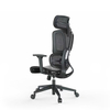 RUNZHI 908A Ergonomics Chair