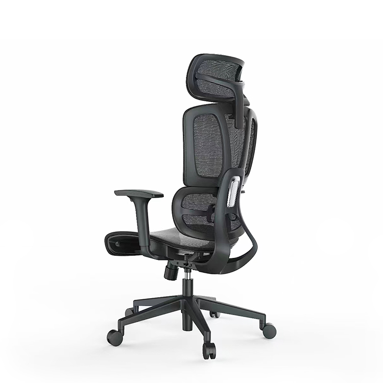 RUNZHI 908A Ergonomics Chair
