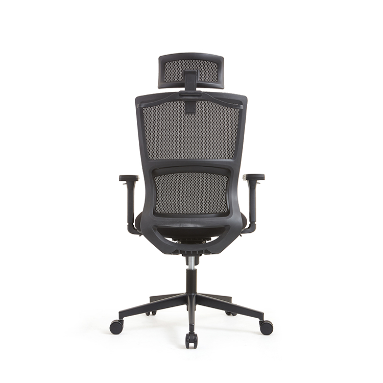 RUNZHI 779A Ergonomics Chair