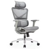 RUNZHI W192A-2 Ergonomics Chair