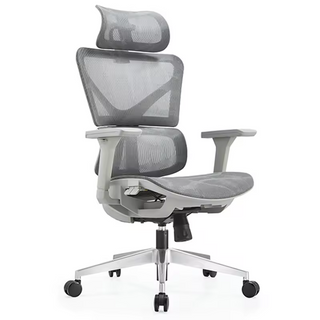 RUNZHI W192A-2 Ergonomics Chair