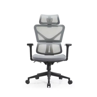 RUNZHI 192A Ergonomics Chair