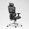 RUNZHI 918AL Ergonomics Chair