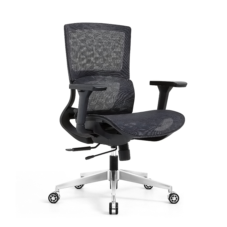 RUNZHI 779C Ergonomics Chair
