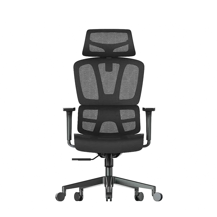 RUNZHI 908A Ergonomics Chair
