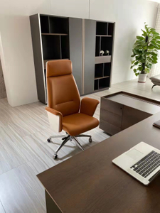 RUNZHI Q25A Leather Chair & PU