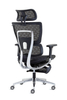Ergonomic Swiveling High-back Black Chair LW180TA-1 with Footrest