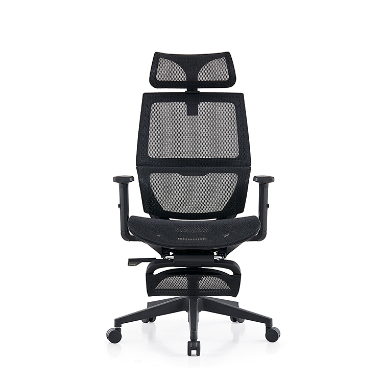 RUNZHI W187A-1 Ergonomics Chair