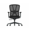 RUNZHI 779C Ergonomics Chair