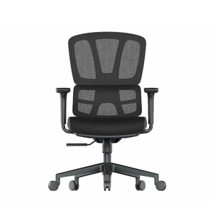 RUNZHI 779C Ergonomics Chair