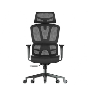 RUNZHI 779A Ergonomics Chair