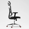 RUNZHI 918A Ergonomics Chair