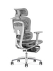 Ergonomic Swiveling High-back Grey Chair LW181TA-2 Footrest for Office Meeting Room