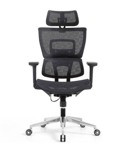 Ergonomic Swiveling High-back Black Chair W180TA-1