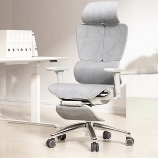 RUNZHI W183A Ergonomics Chair 