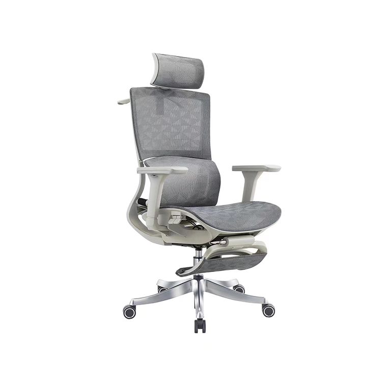 RUNZHI 779AL Ergonomics Chair & Footrest