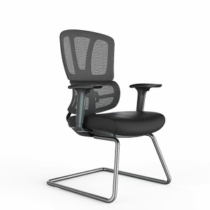 RUNZHI 779D Ergonomics Chair