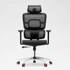 RUNZHI 918A Ergonomics Chair