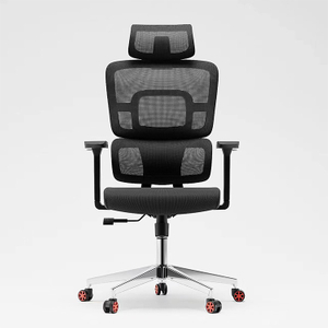 RUNZHI 918A Ergonomics Chair