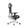 RUNZHI W189AL-2 Foot Ergonomics Chair