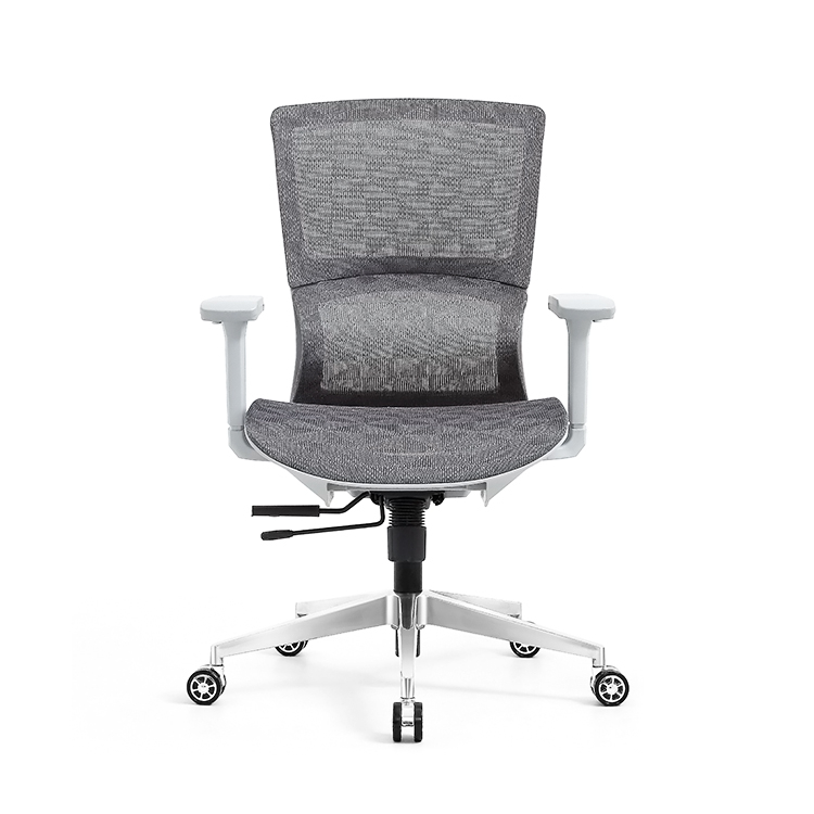 RUNZHI 779C Ergonomics Chair
