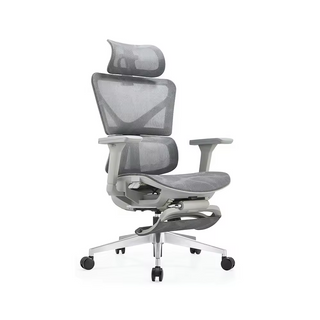 RUNZHI W192A-2 Ergonomics Chair & Footrest
