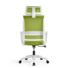 RUNZHI 2025 New Style106A Green Color Mesh Chair