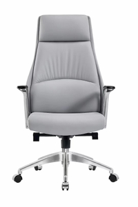 RUNZHI Fashionable Style 2323A Leather Chair & PU 