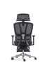 RUNZHI 908A Ergonomics Chair & Footrest