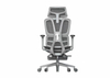 RUNZHI 908A Ergonomics Chair & Footrest