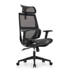 RUNZHI W187A Ergonomics Chair