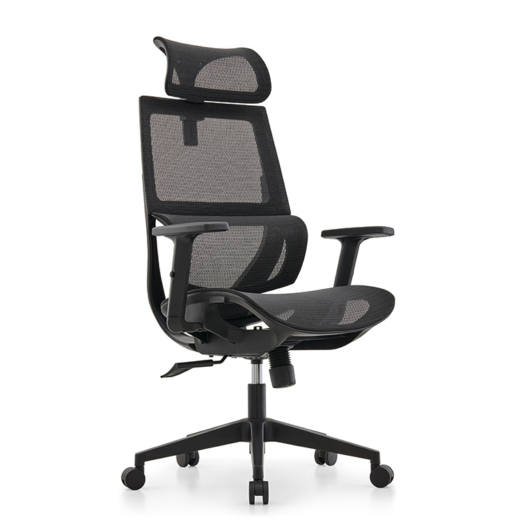 RUNZHI W187A Ergonomics Chair