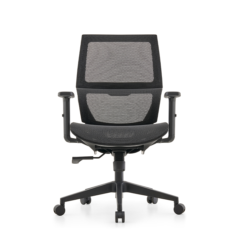 RUNZHI W187C Ergonomics Chair 