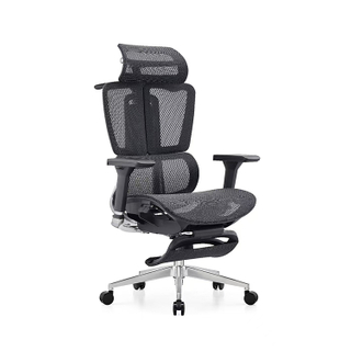 RUNZHI LW189TA Ergonomics Chair