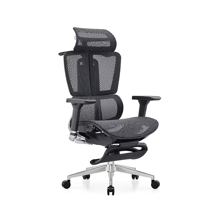 RUNZHI LW189TA Ergonomics Chair