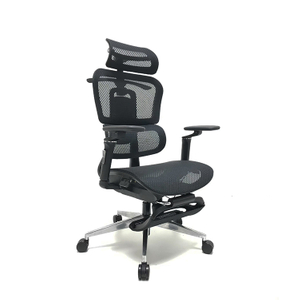 RUNZHI W189A Ergonomics Chair