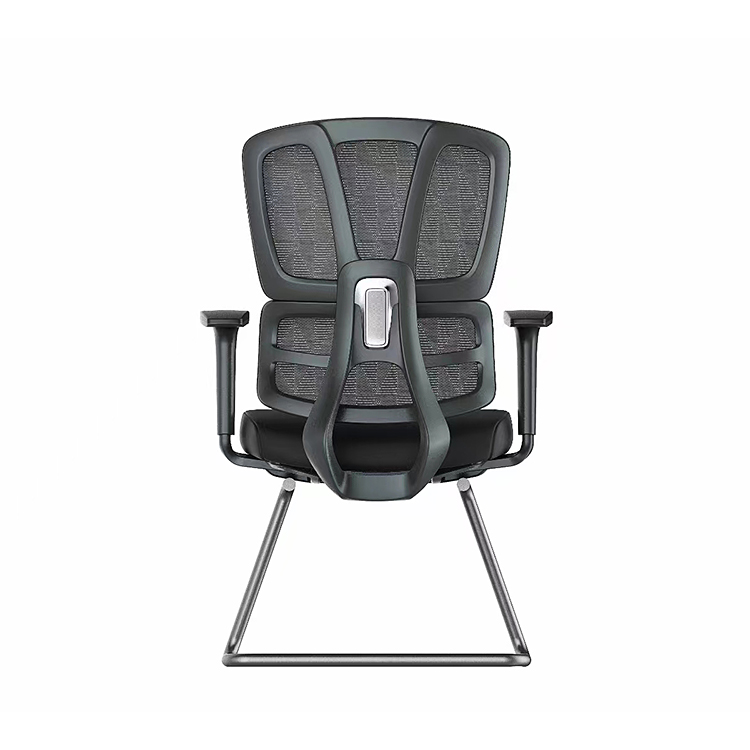 RUNZHI 779D Ergonomics Chair