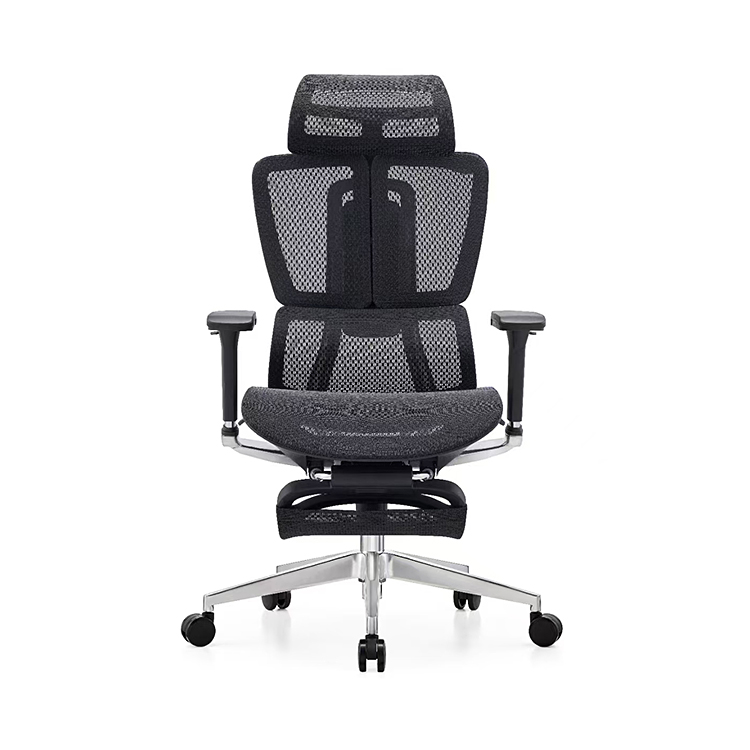 RUNZHI LW189TA Ergonomics Chair