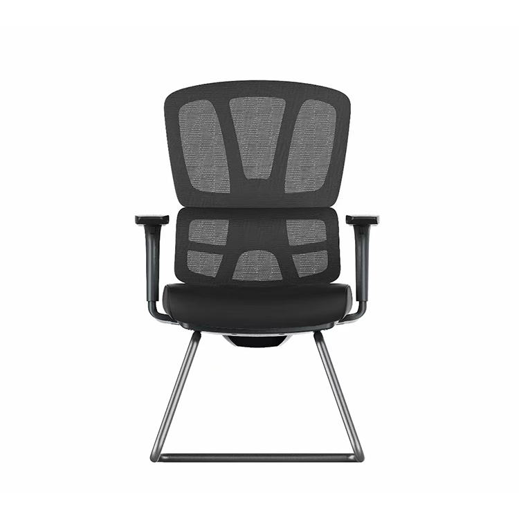 RUNZHI 779D Ergonomics Chair