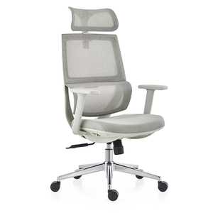 RUNZHI W187A Grey Ergonomics Chair