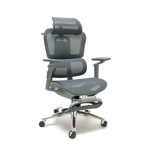 RUNZHI W189AL-2 Foot Ergonomics Chair