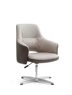 RUNZHI Luxury Style 2322E Leather Chair & PU 